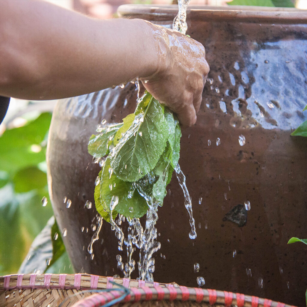 sustainability-ayatana-hoi-an